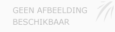 Afbeelding › Koen Michielsen bvba